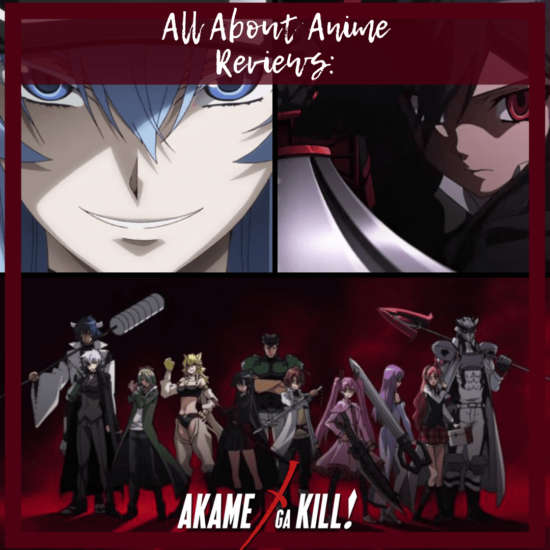 Akame Ga Kill, I still need tissues