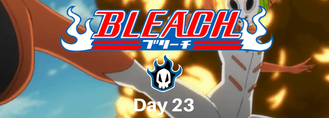 Bleach Character most like me 15 Bleach Character most like me