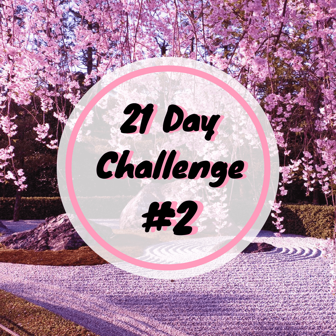 21 Day Challenge #2