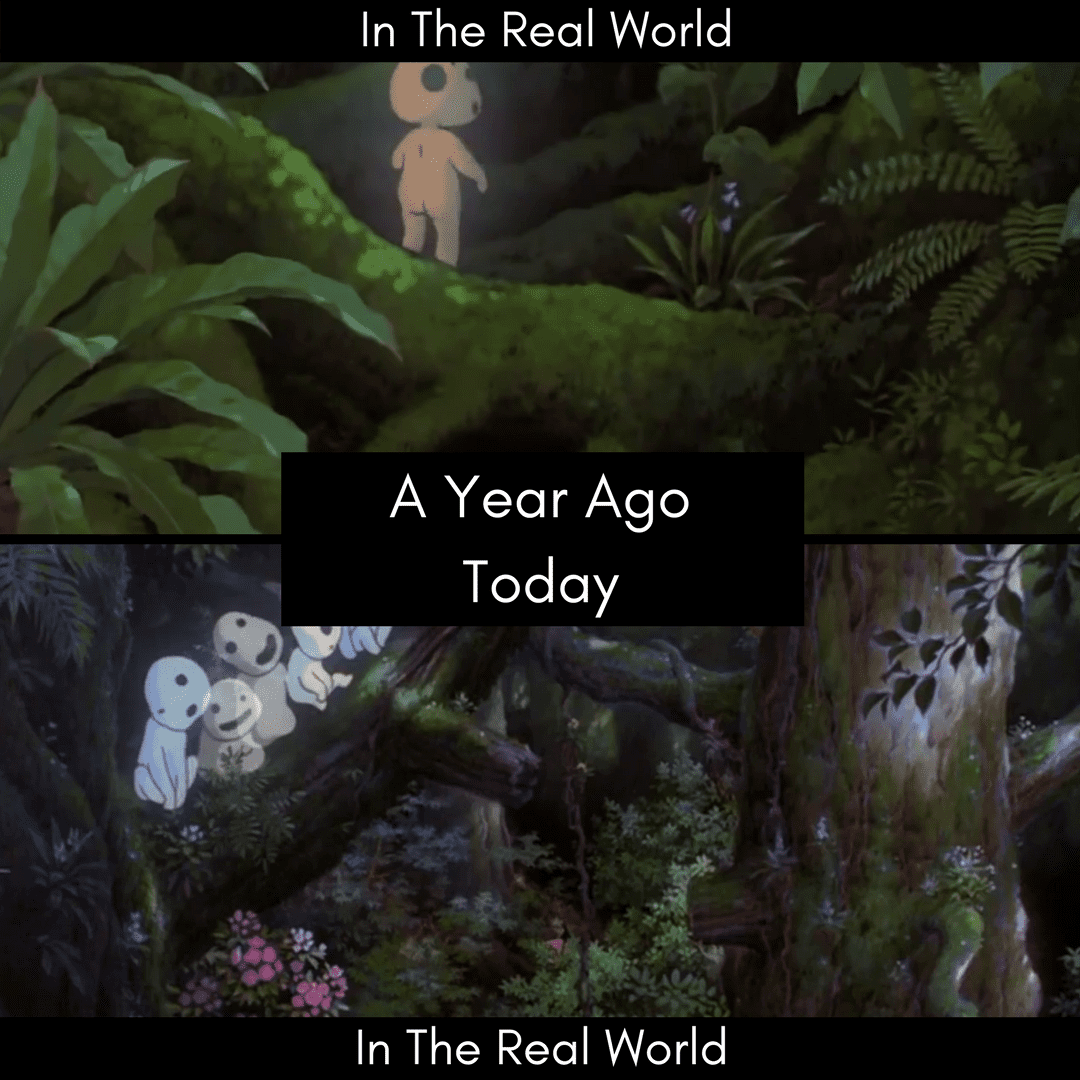 AYA: 19 December 2017