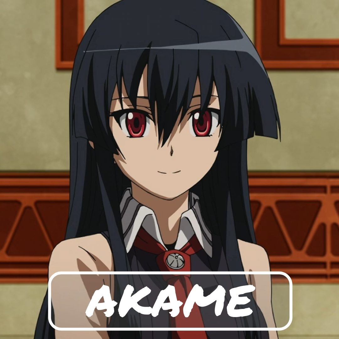 character_breakdown_akame_akame_ga_kill_allanimemag_header_image