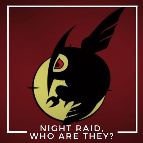 members_of_night_raid_who_are_they_AllAnimeMag